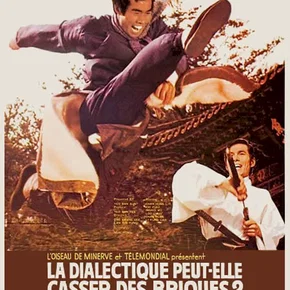 Photo du film : La dialectique peut-elle casser des briques ?