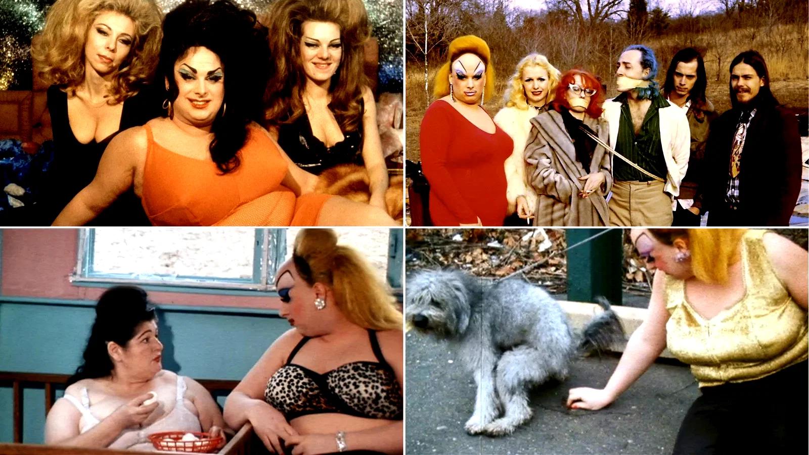 Photo du film : I Am Divine