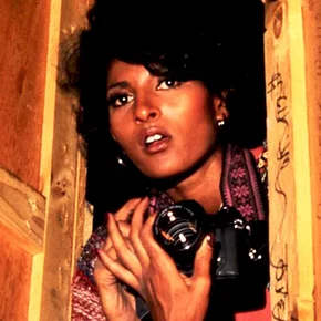 Photo du film : La panthere est de retour