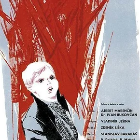 Photo du film : Le chant du pigeon gris