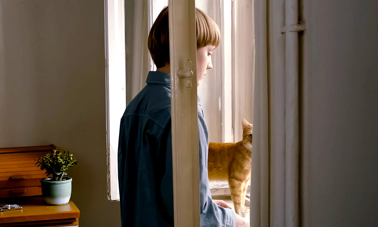 Photo 8 du film : L'étrange petit chat