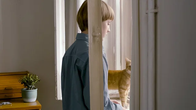 Affiche du film : L'étrange petit chat