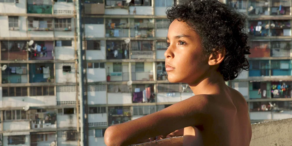 Photo du film : Pelo Malo