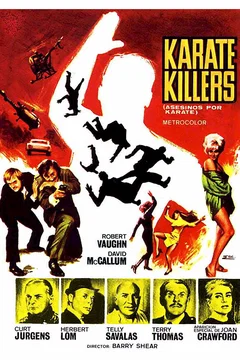 Affiche du film Tueurs au karate