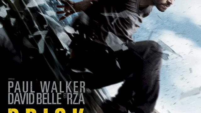 Affiche du film : Brick Mansions