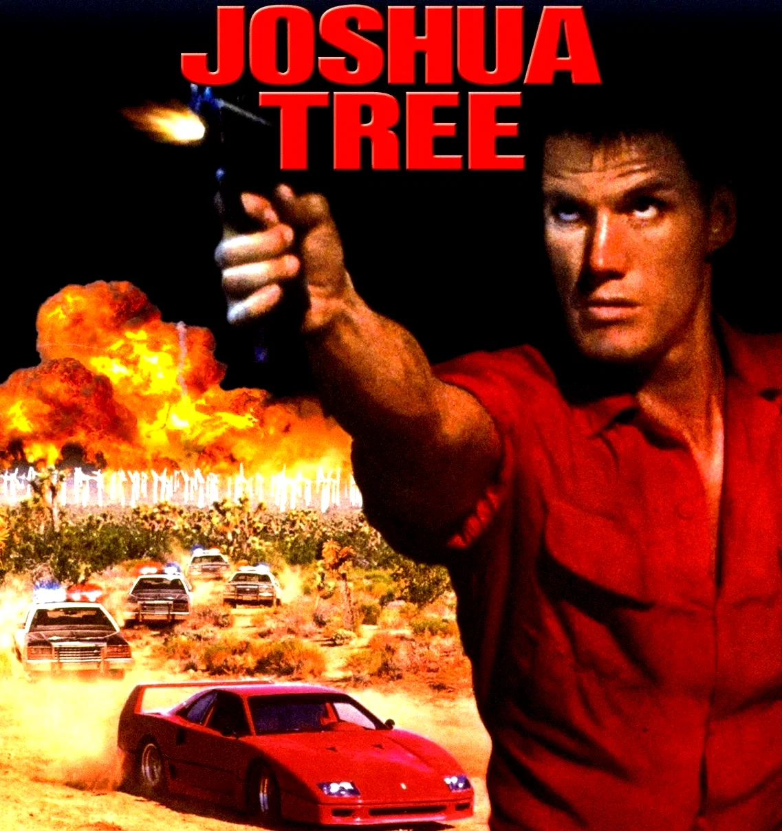 Affiche du film : Au dessus de la loi