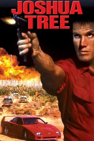 Affiche du film : Au dessus de la loi