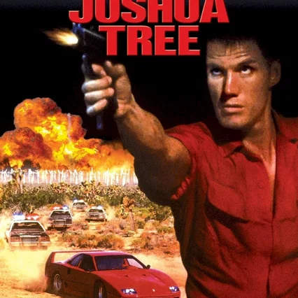 Affiche du film : Au dessus de la loi