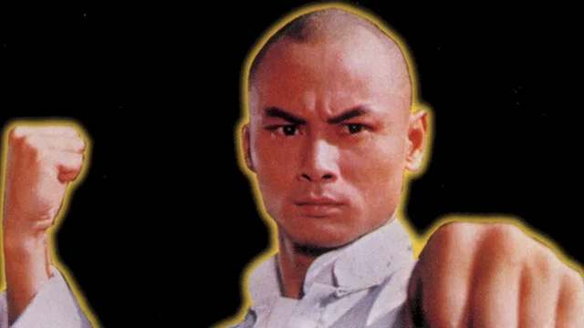 Photo 3 du film : Shaolin contre mantis