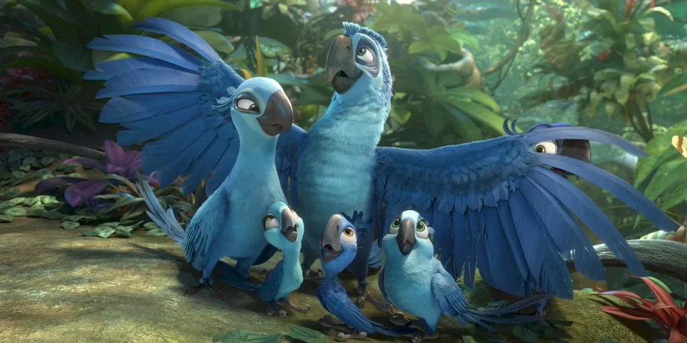 Photo 2 du film : Rio 2