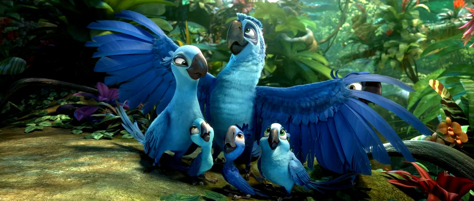 Photo 2 du film : Rio 2