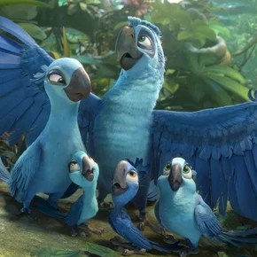 Photo du film : Rio 2