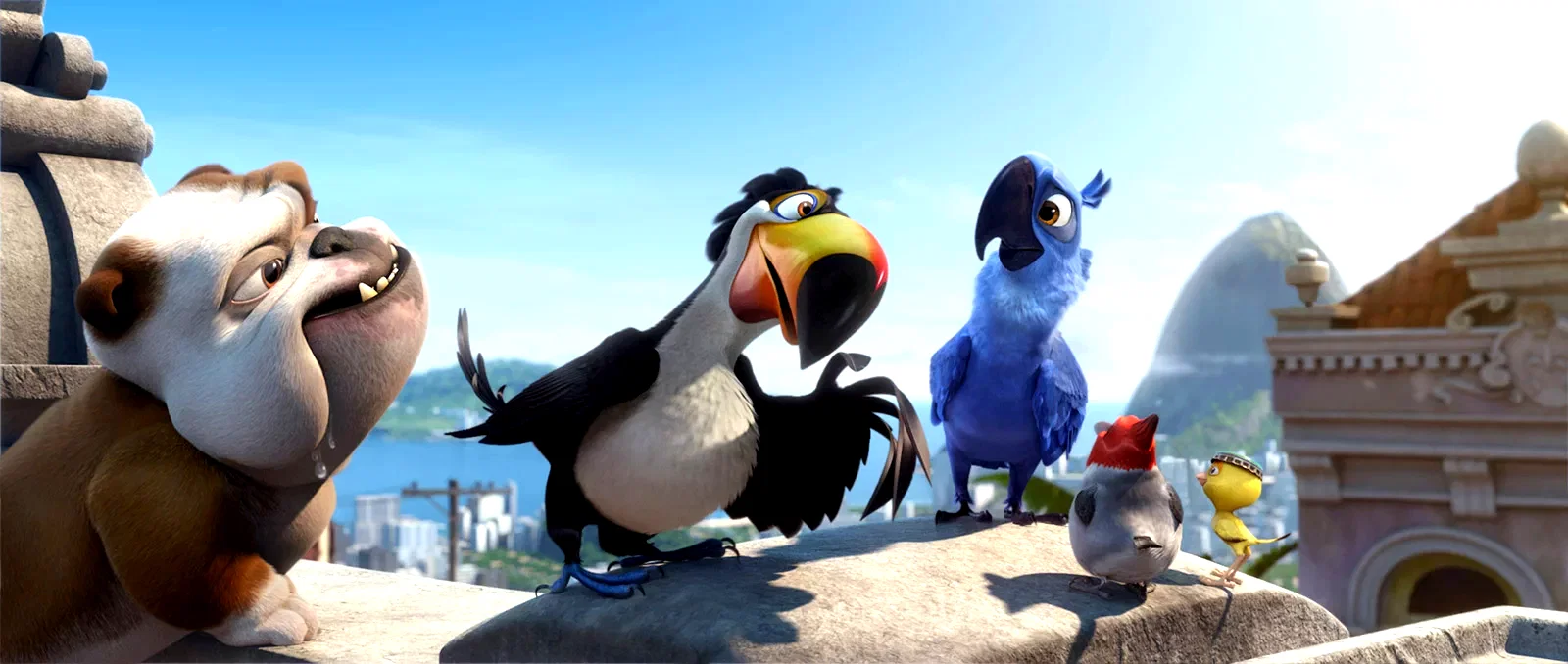 Photo 5 du film : Rio 2