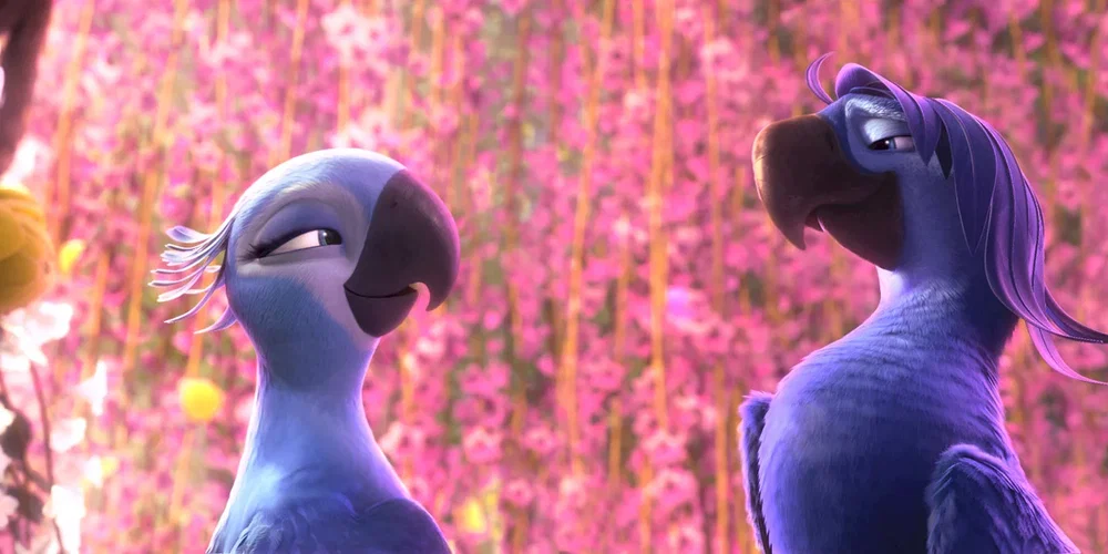Photo 7 du film : Rio 2