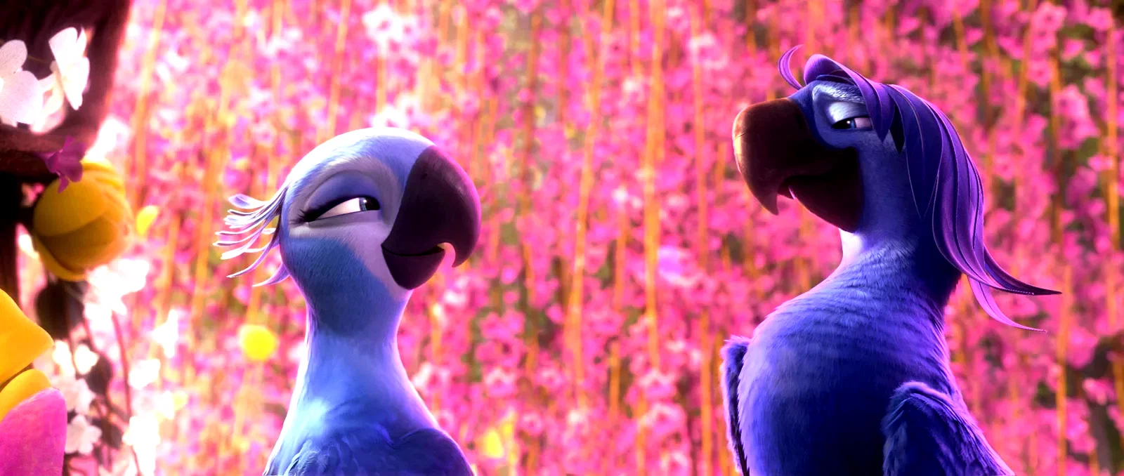Photo 7 du film : Rio 2