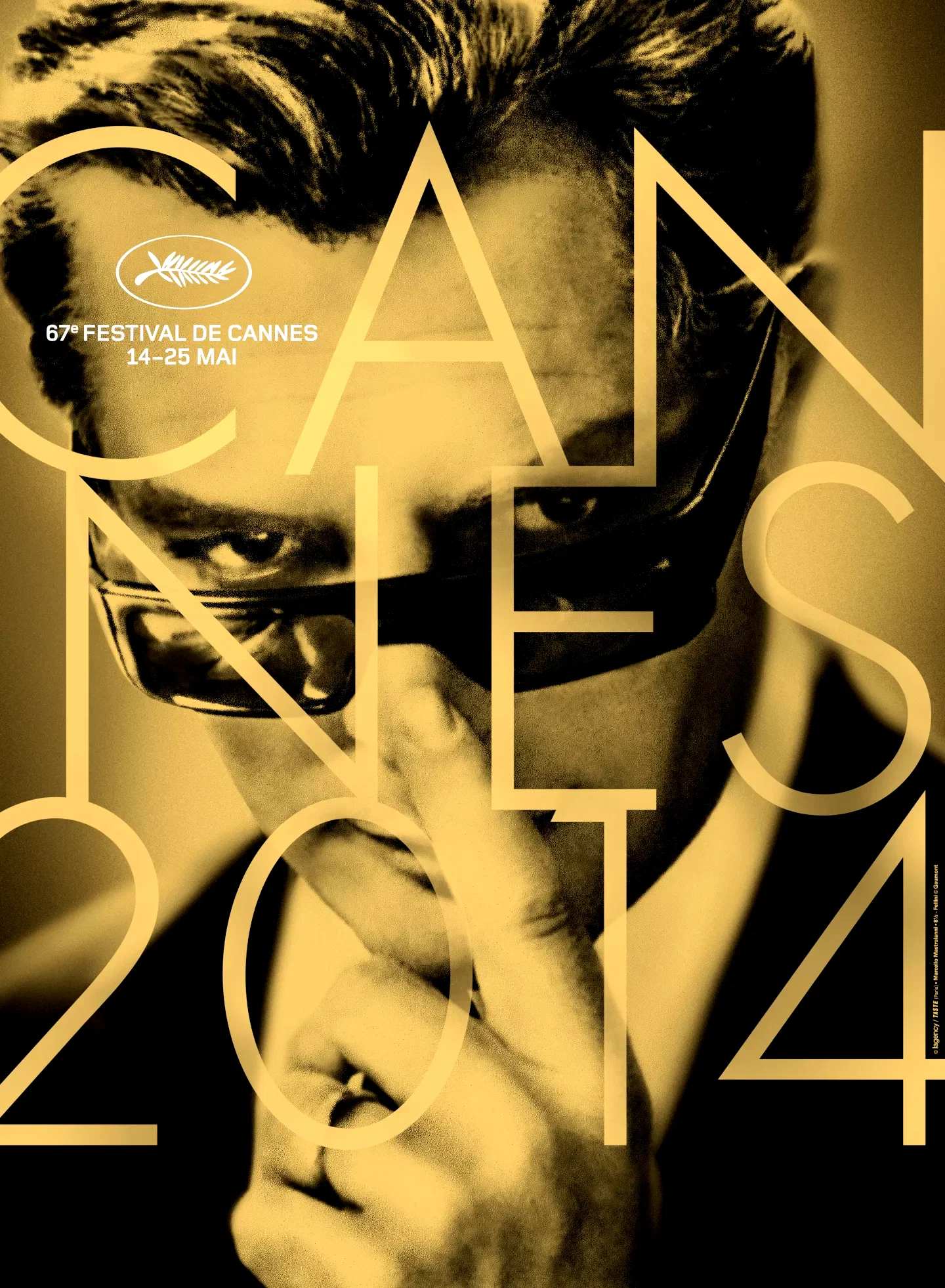 Affiche du film : Festival de Cannes