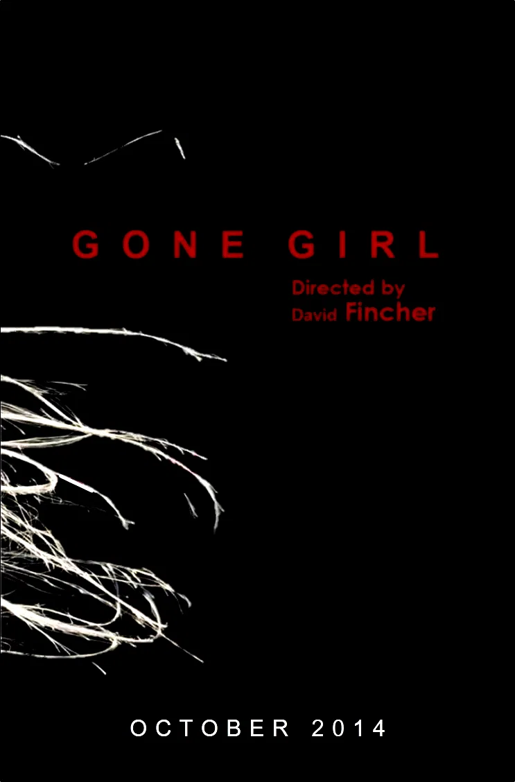 Photo du film : Gone Girl