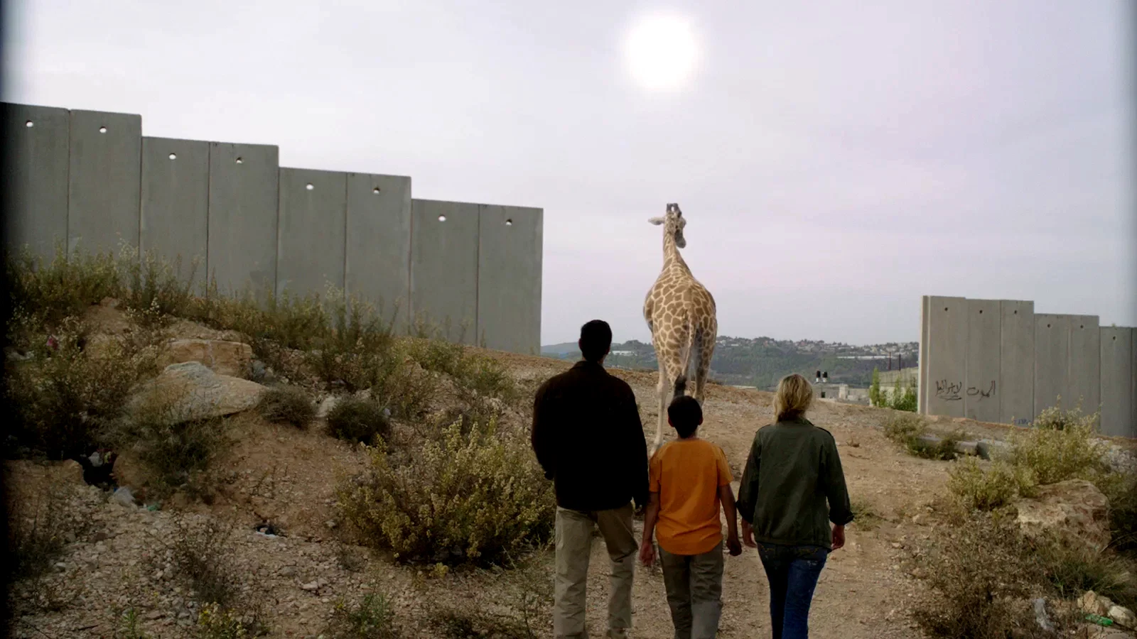 Photo 5 du film : Girafada