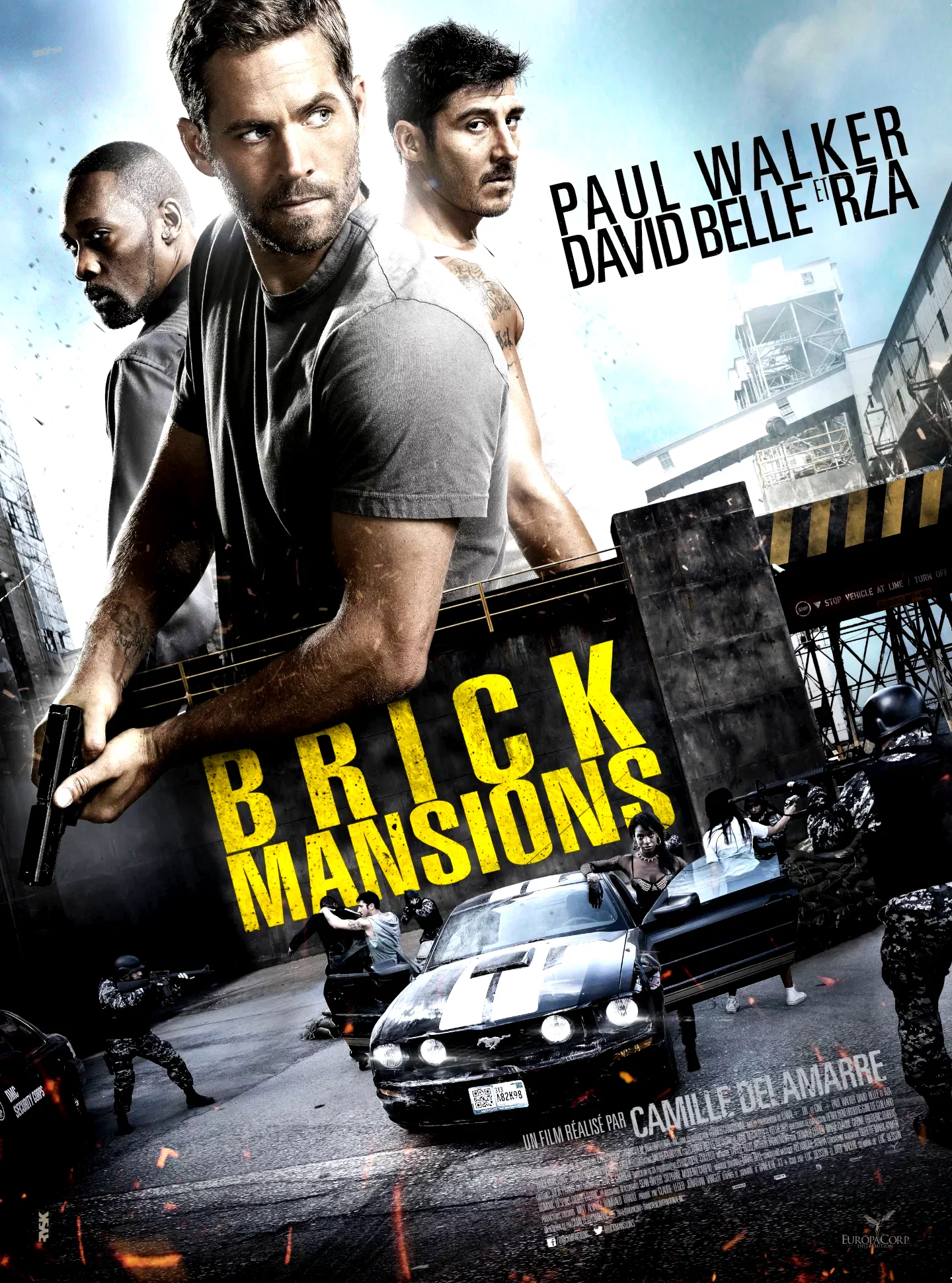 Affiche du film : Brick Mansions