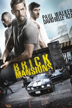 Affiche du film Brick Mansions