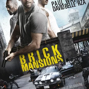 Photo du film : Brick Mansions
