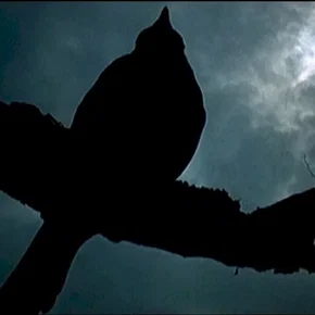 Photo du film : La nuit des malefices