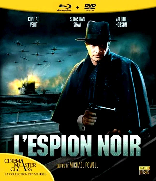 Affiche du film : L'espion noir
