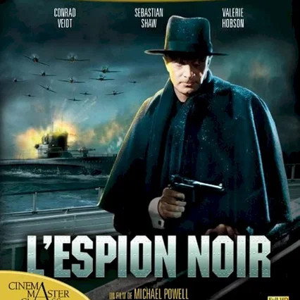 Affiche du film : L'espion noir