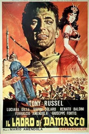 Affiche du film : Le voleur de damas