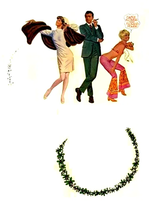 Affiche du film : Fleur de cactus