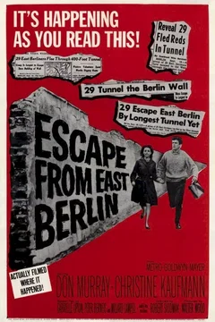 Affiche du film Tunnel 28