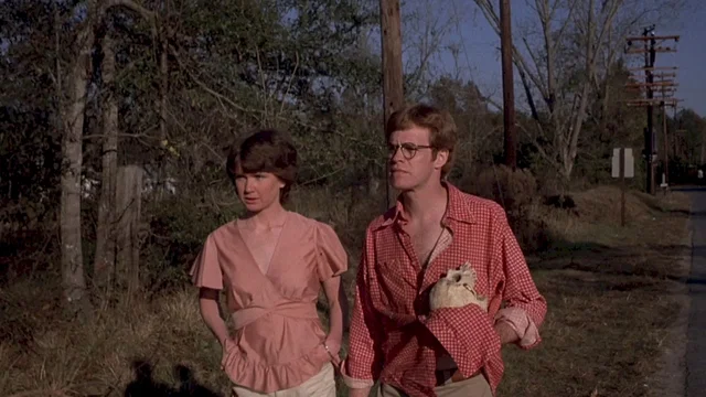 Photo 3 du film : La nuit des vers geants