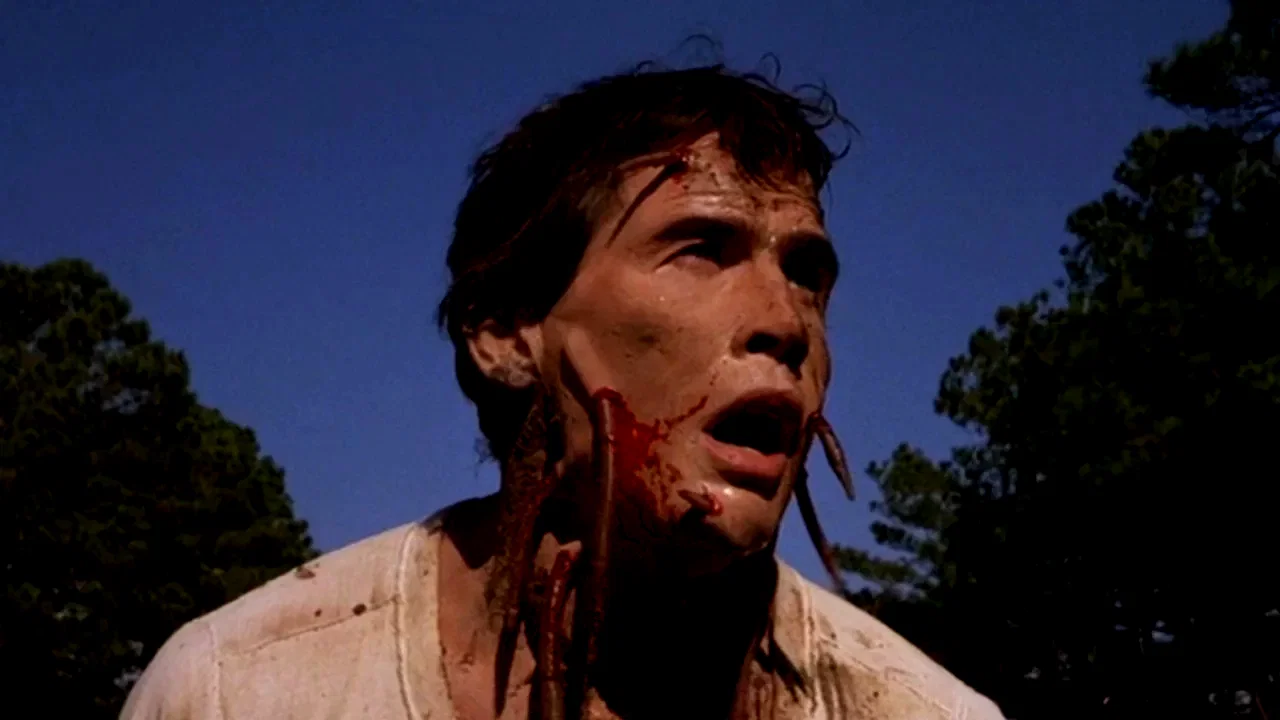 Photo du film : La nuit des vers geants