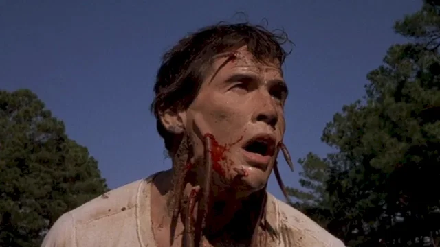 Photo 7 du film : La nuit des vers geants