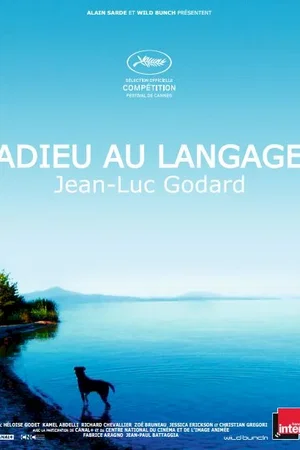 Affiche du film : Adieu au langage