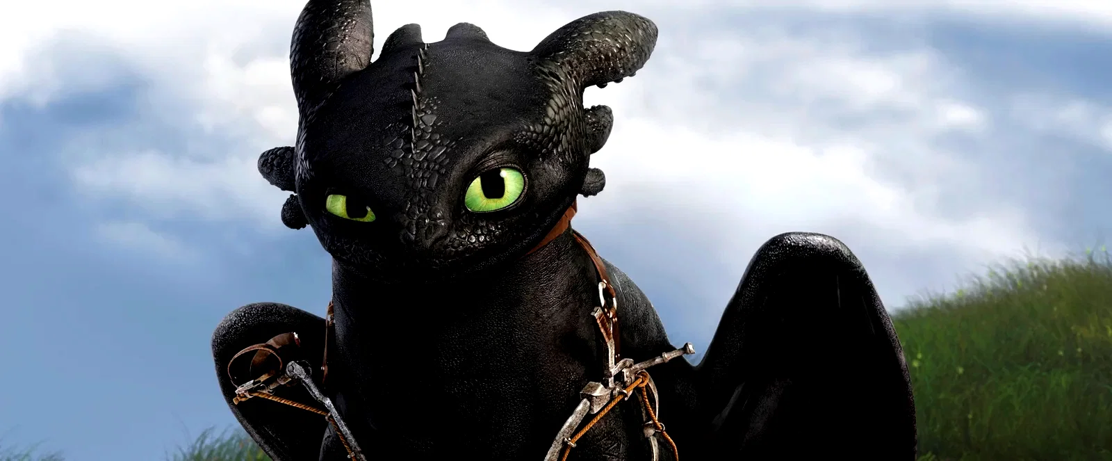 Photo 2 du film : Dragons 2 