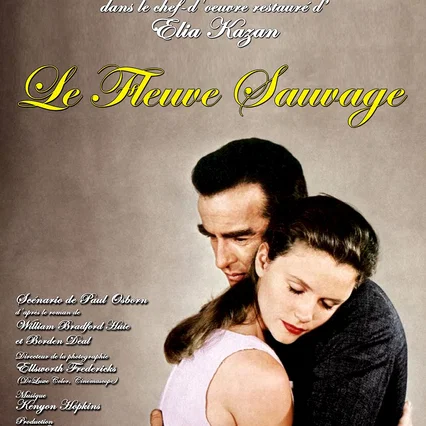 Miniature photo du film : Le fleuve sauvage