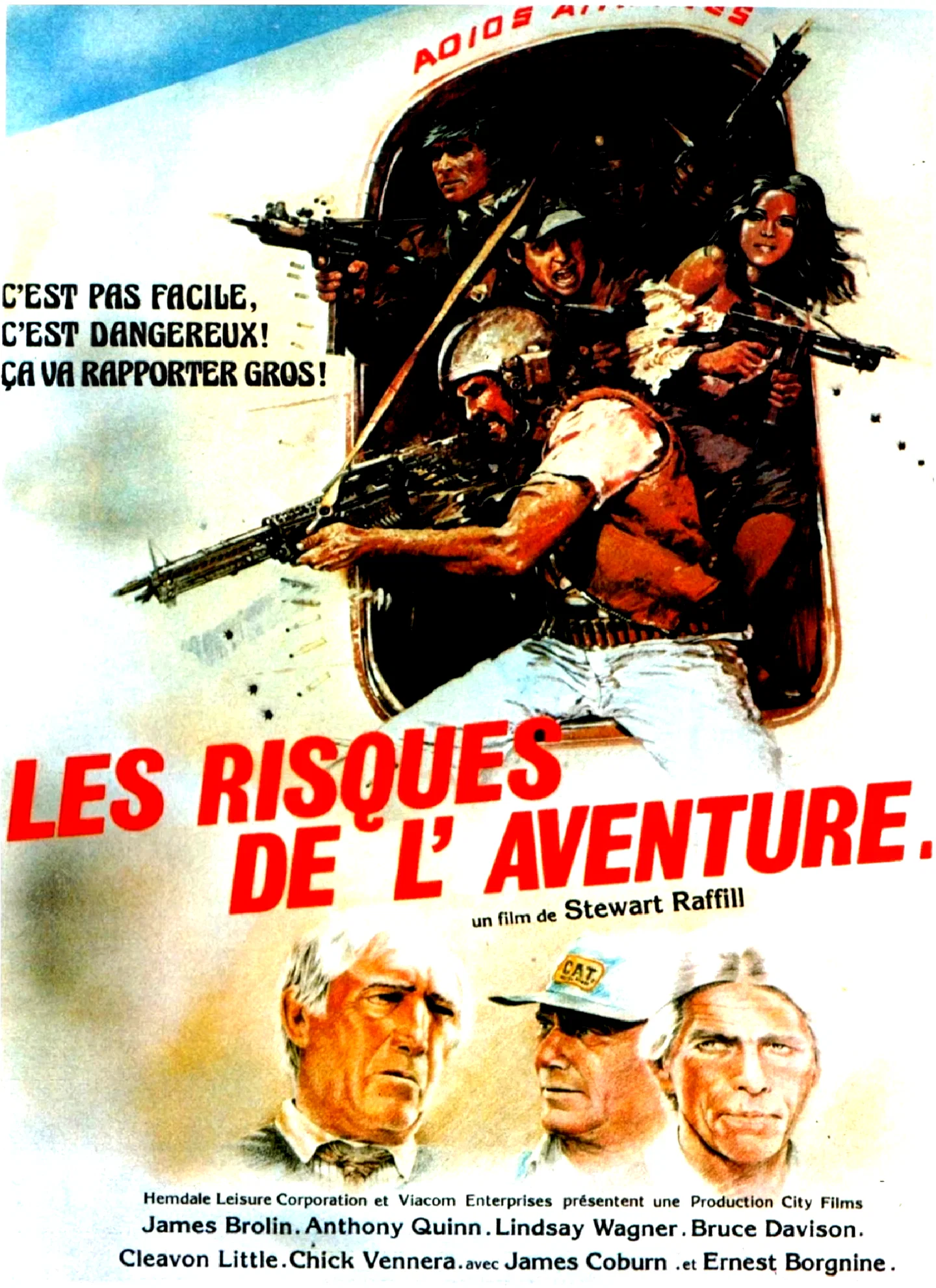 Affiche du film : Les risques de l'aventure