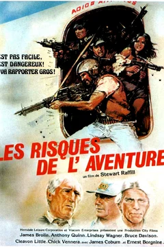 Affiche du film Les risques de l'aventure