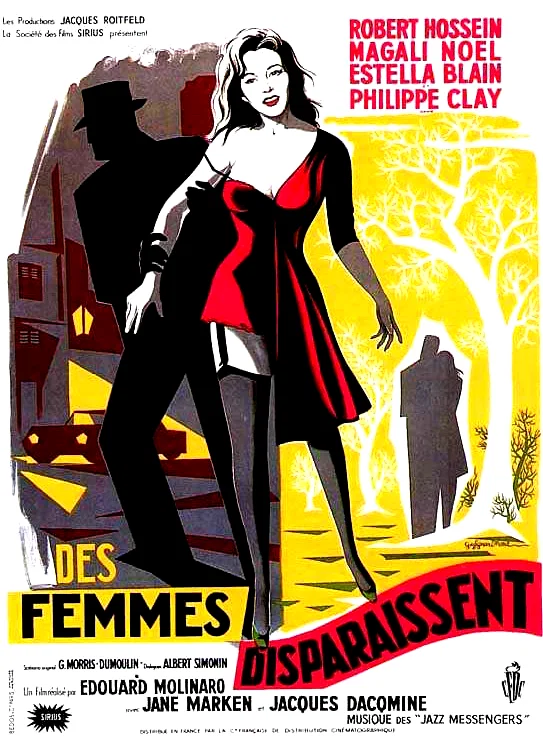 Affiche du film : Des femmes disparaissent