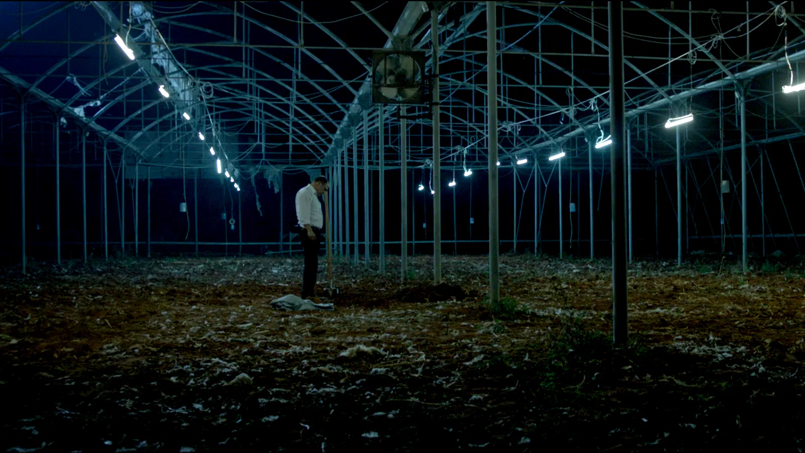 Photo 3 du film : Big Bad Wolves