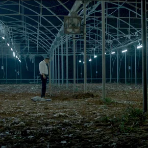 Photo du film : Big Bad Wolves