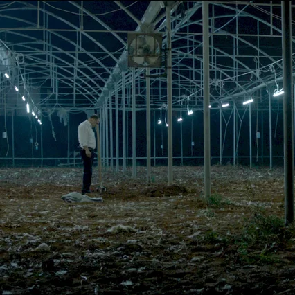 Miniature photo du film : Big Bad Wolves