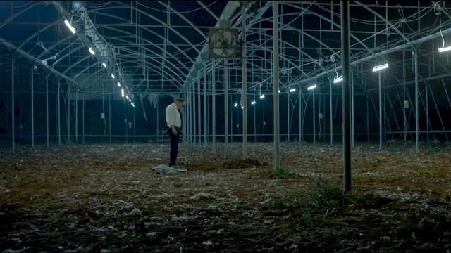 Photo 3 du film : Big Bad Wolves