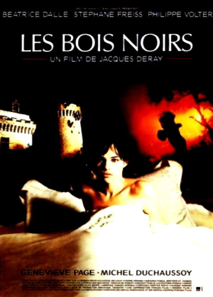 Affiche du film : Les Noirs
