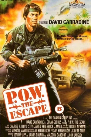 Affiche du film : Dans les bras de l'enfer