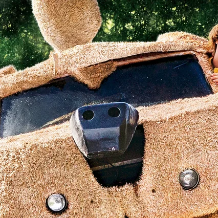 Miniature photo du film : Dumb and Dumber De