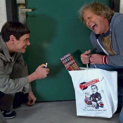 Miniature photo du film : Dumb and Dumber De