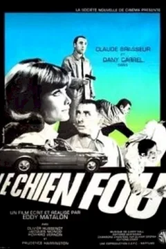 Affiche du film Le chien fou