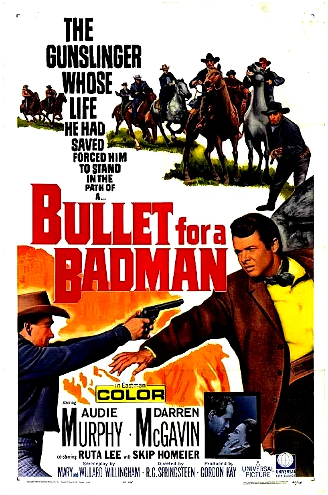 Affiche du film : La patrouille de la violence